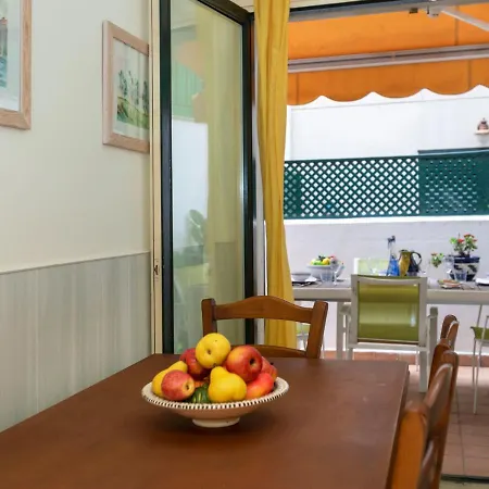 Pomeres By Interhome Daire